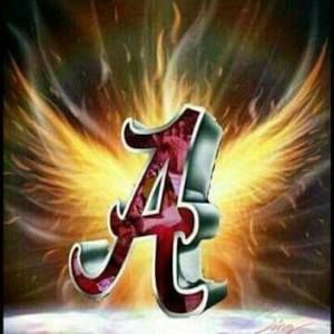 Meet your Posher, Shane